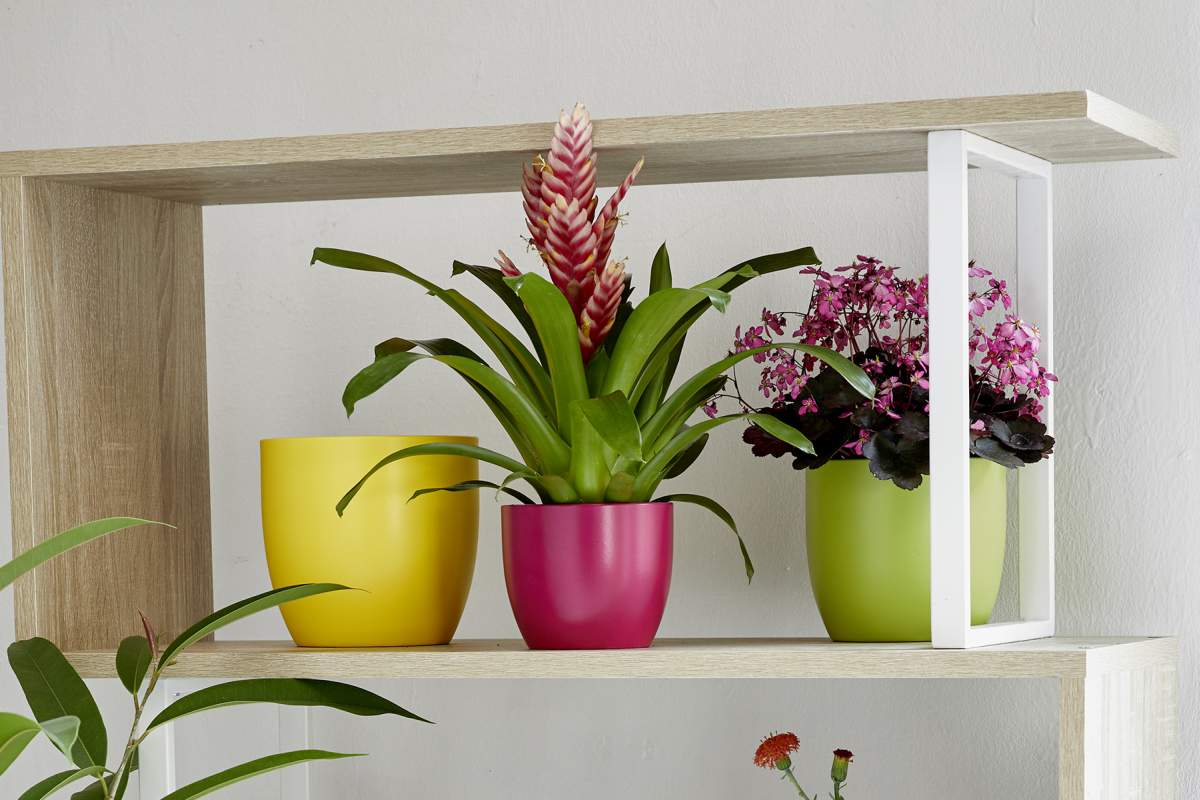 Splash Pot Small Basel Splash Pot | Land Supply Canada