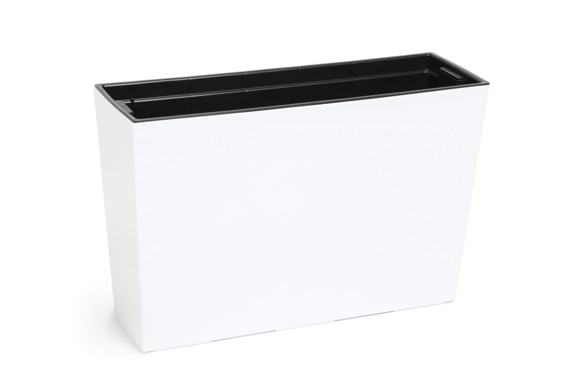 7" Werbena Flower Box - Shiny