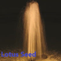 Aqua+ Bronze Spray Lotus Seed Jet Head