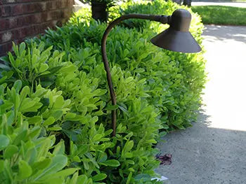 Brass Path Light 100 - PL100 Colour Clanging Option - Land Supply Canada Landscape Lighting Land Supply Canada