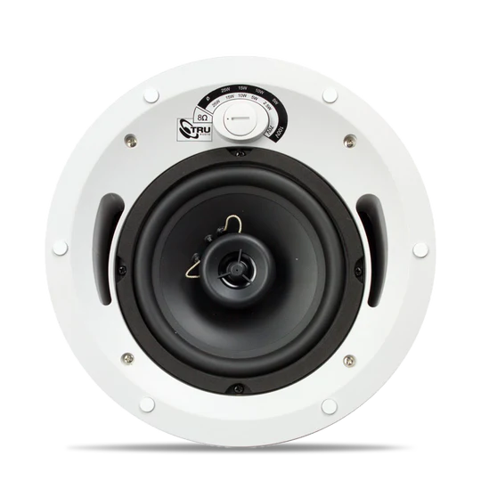 2-Way In-Ceiling Commercial Speaker