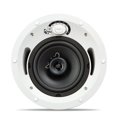 2-Way In-Ceiling Commercial Speaker