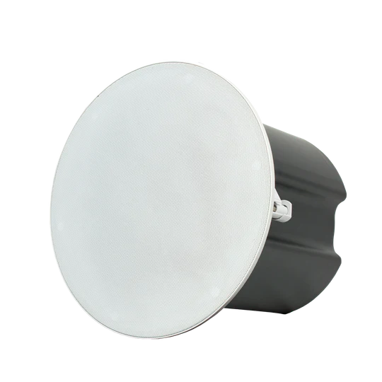 2-Way In-Ceiling Commercial Speaker