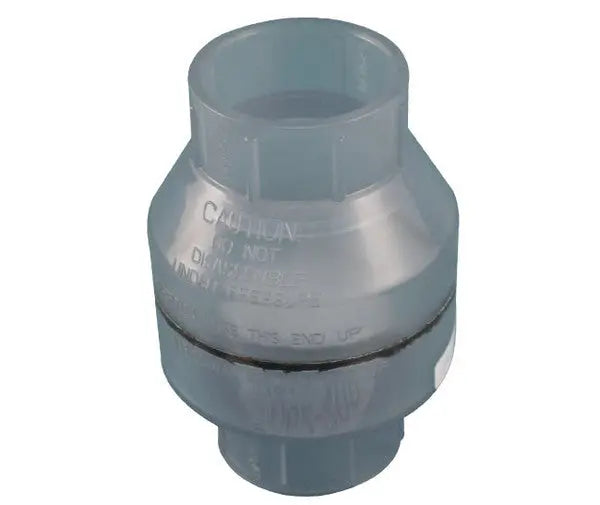 Clear Swing Check Valve - Land Supply Canada