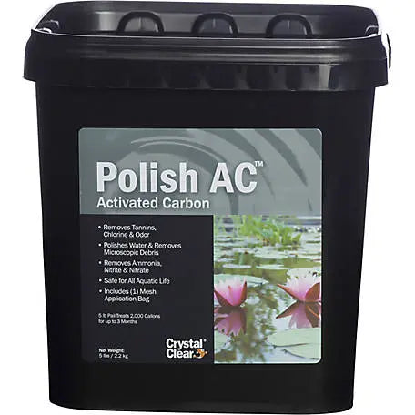 High Quality Crystal Clear Polish AC Online For Sale 