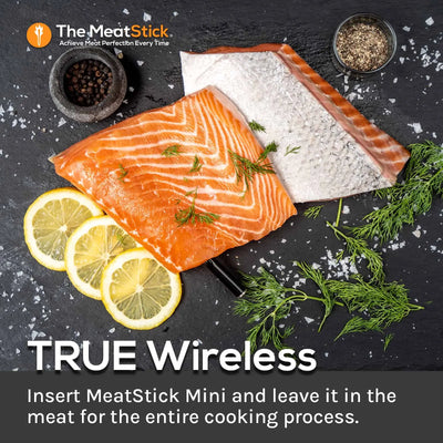 MeatStick WiFi Pro Set - Land Supply Canada