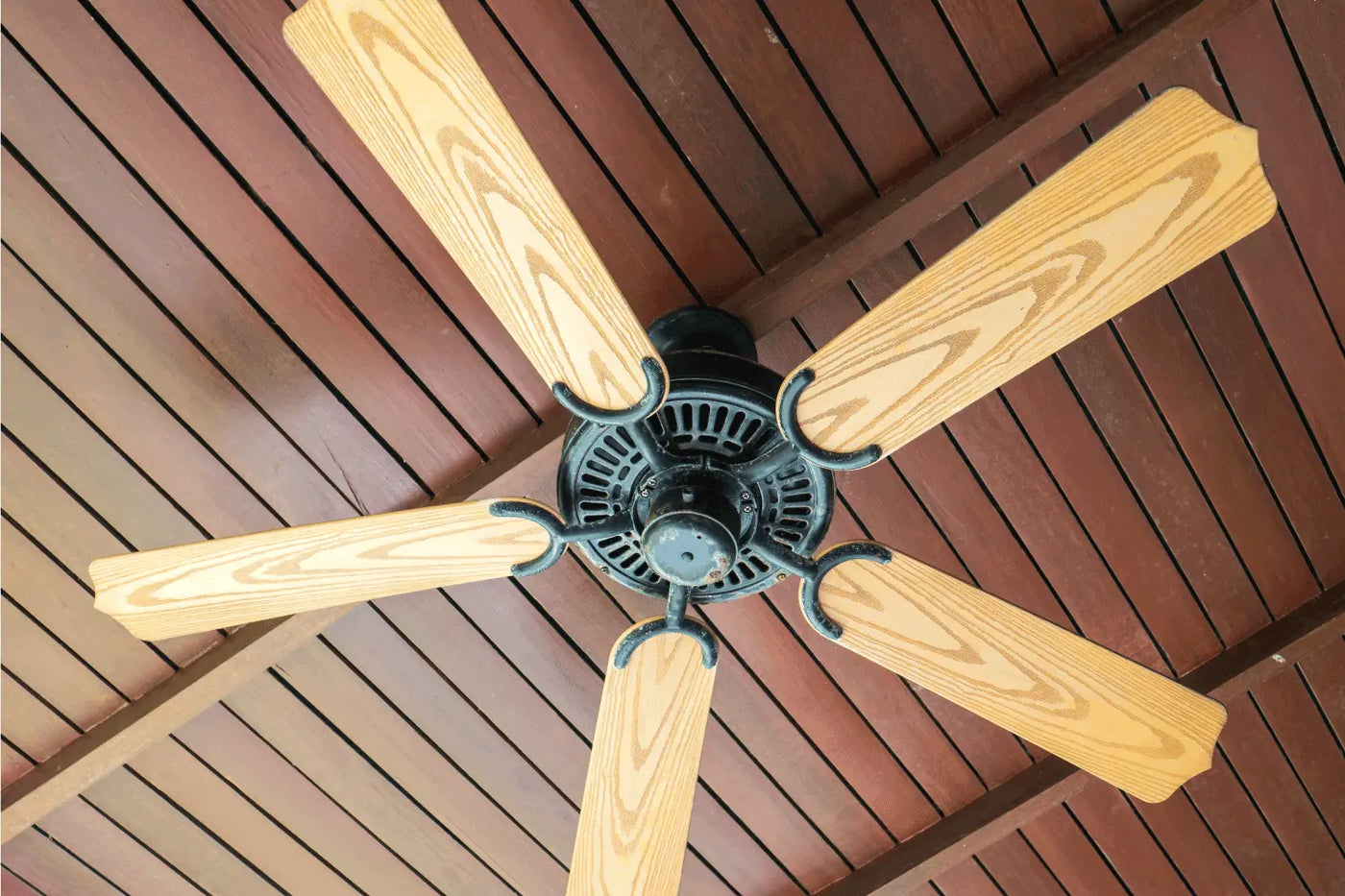 Monarch Patio Fan - Land Supply Canada